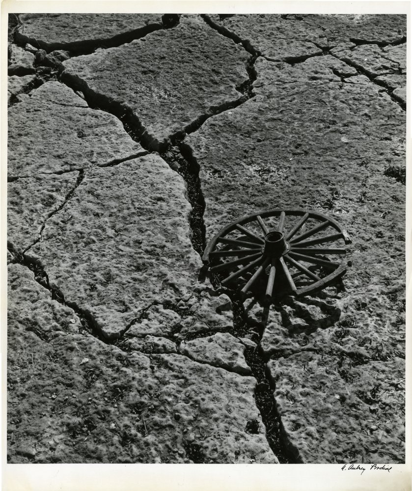 Click for larger image